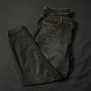 Molly isadora jeans size 20